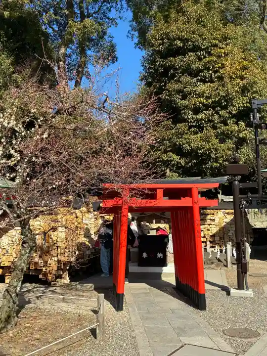 北野天満宮の{uncategorized: "未分類", other: "その他", undefined: "問題あり", building: "その他建物", grave: "お墓", sacred_gate: "鳥居", guardian: "狛犬", statue: "像", buddha: "仏像", history: "歴史", nature: "自然", garden: "庭園", animal: "動物", pagoda: "塔", temizu: "手水舎", mountain_gate: "山門・神門", sanctuary: "本殿・本堂", subordinate: "末社・摂社", art: "芸術", scenery: "景色", jizo: "地蔵", ema: "絵馬", goshuin: "御朱印", omikuji: "おみくじ", items: "授与品その他", amulet: "お守り", goshuincho: "御朱印帳", eats: "食事", festival: "お祭り", votive_dance: "神楽", shichigosan: "七五三参", wedding: "結婚式", experience: "体験その他", initially: "初詣", around: "周辺", anti_infection: "感染症対策"}