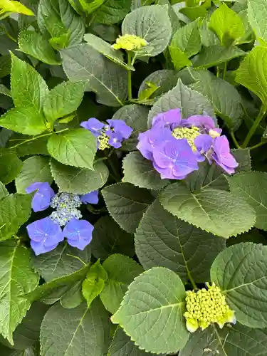 能護寺(埼玉県)