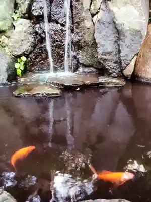 熊野神社(東京都)