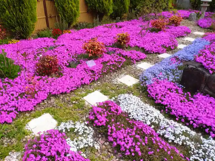 寿量山 速成寺(奈良県)