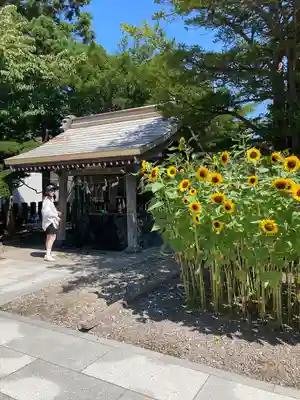 湯倉神社の手水舎