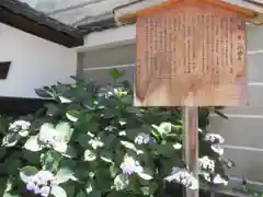 行願寺（革堂）の歴史