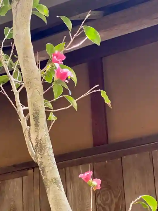 霊鑑寺門跡の自然