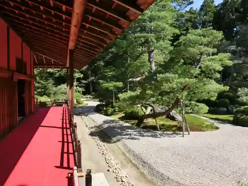 曼殊院門跡の庭園