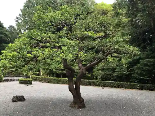 天智天皇陵(山科陵)の庭園