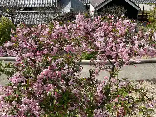 八事山 興正寺(愛知県)