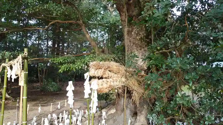阿太加夜神社のその他建物