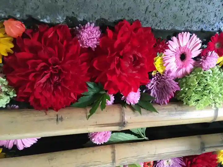 札幌護國神社の手水舎