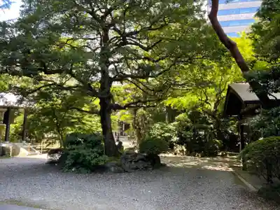 天徳寺(東京都)