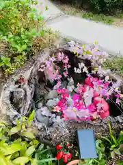 三輪神社(愛知県)