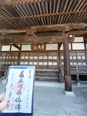 光専寺の{uncategorized: "未分類", other: "その他", undefined: "問題あり", building: "その他建物", grave: "お墓", sacred_gate: "鳥居", guardian: "狛犬", statue: "像", buddha: "仏像", history: "歴史", nature: "自然", garden: "庭園", animal: "動物", pagoda: "塔", temizu: "手水舎", mountain_gate: "山門・神門", sanctuary: "本殿・本堂", subordinate: "末社・摂社", art: "芸術", scenery: "景色", jizo: "地蔵", ema: "絵馬", goshuin: "御朱印", omikuji: "おみくじ", items: "授与品その他", amulet: "お守り", goshuincho: "御朱印帳", eats: "食事", festival: "お祭り", votive_dance: "神楽", shichigosan: "七五三参", wedding: "結婚式", experience: "体験その他", initially: "初詣", around: "周辺", anti_infection: "感染症対策"}