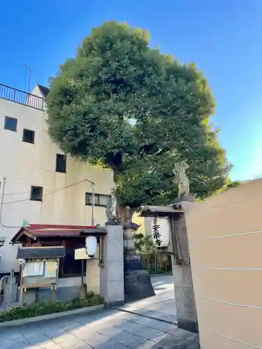 安樂寺（安楽寺）(東京都)