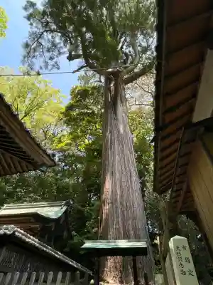 事任八幡宮(静岡県)
