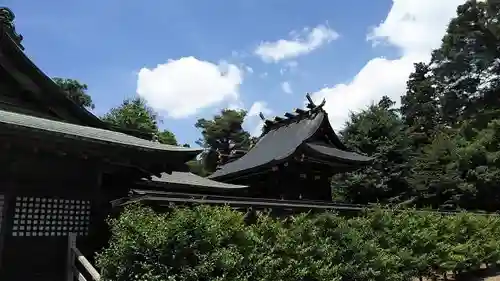 鷲宮神社の本殿