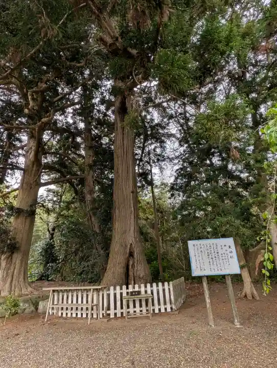 鎌数伊勢大神宮の{uncategorized: "未分類", other: "その他", undefined: "問題あり", building: "その他建物", grave: "お墓", sacred_gate: "鳥居", guardian: "狛犬", statue: "像", buddha: "仏像", history: "歴史", nature: "自然", garden: "庭園", animal: "動物", pagoda: "塔", temizu: "手水舎", mountain_gate: "山門・神門", sanctuary: "本殿・本堂", subordinate: "末社・摂社", art: "芸術", scenery: "景色", jizo: "地蔵", ema: "絵馬", goshuin: "御朱印", omikuji: "おみくじ", items: "授与品その他", amulet: "お守り", goshuincho: "御朱印帳", eats: "食事", festival: "お祭り", votive_dance: "神楽", shichigosan: "七五三参", wedding: "結婚式", experience: "体験その他", initially: "初詣", around: "周辺", anti_infection: "感染症対策"}