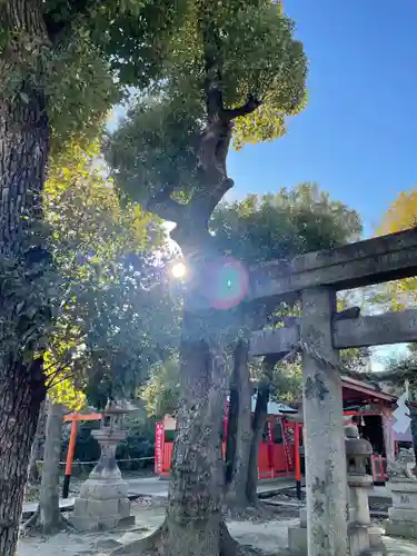 難波大社　生國魂神社の自然