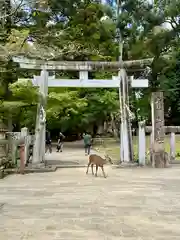 手向山八幡宮の鳥居