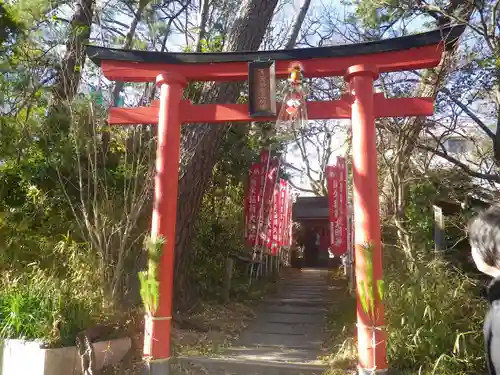 亀岡八幡宮（亀岡八幡神社）の鳥居