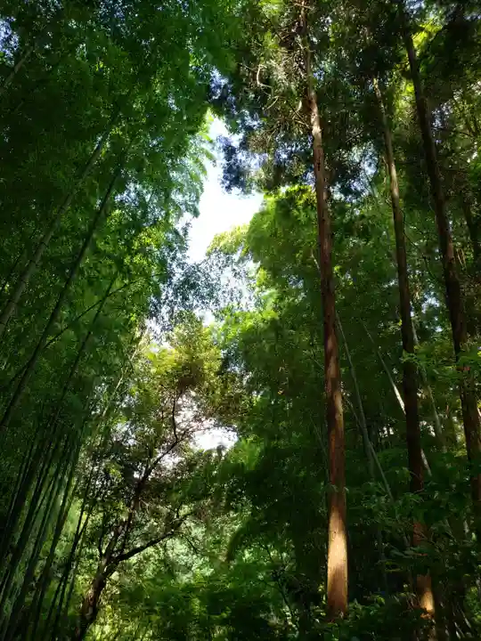 武雄神社(佐賀県)
