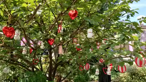 今戸神社(東京都)