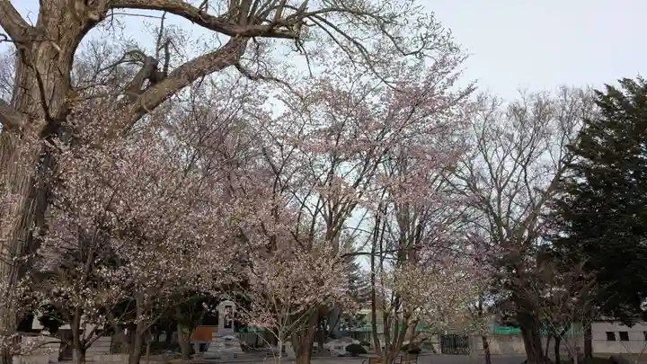 北海道護國神社の自然
