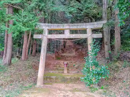 素盞嗚社（平尾町）の鳥居