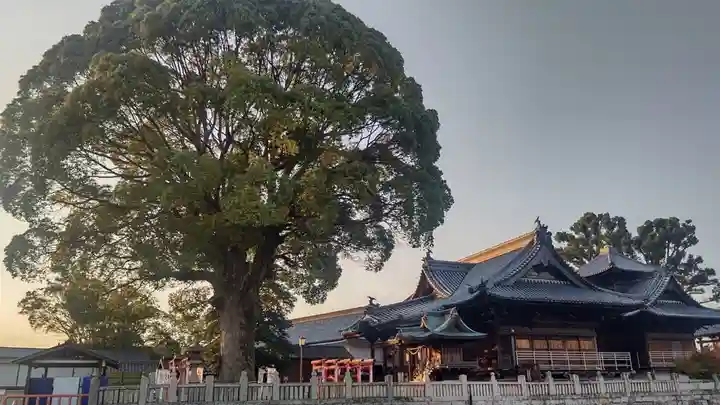 西大寺(岡山県)
