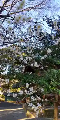 宗我神社(神奈川県)