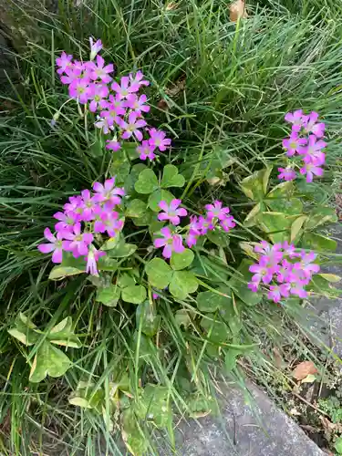 日蓮宗　浄運寺の自然