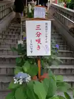 十番稲荷神社(東京都)