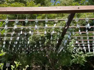賀茂別雷神社（上賀茂神社）(京都府)