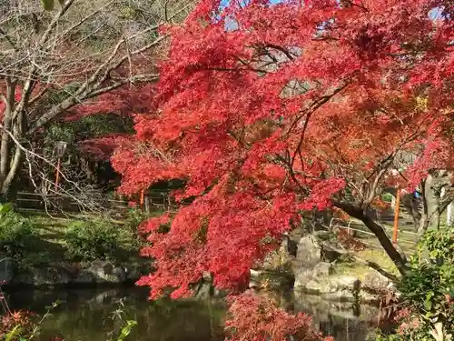 愛知県高浜市春日神社の庭園