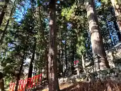 大洲七椙神社(長野県)