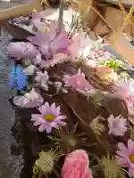 鳩森八幡神社(東京都)