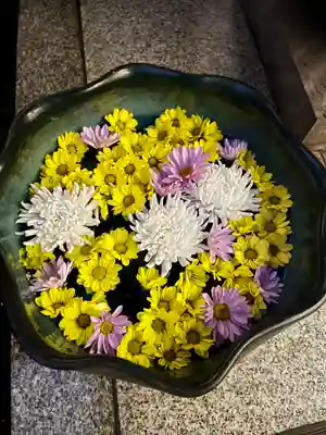 普賢寺(東京都)