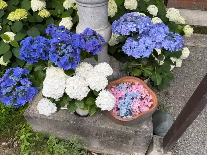 極楽寺(静岡県)