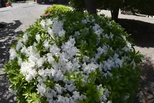 東寺（教王護国寺）の自然