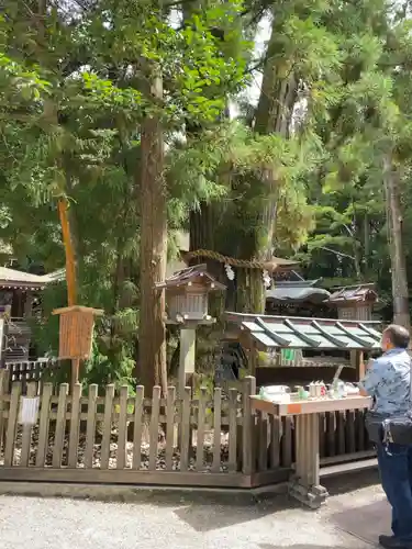 大神神社の自然