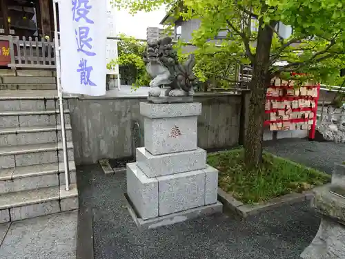 亀戸浅間神社の狛犬