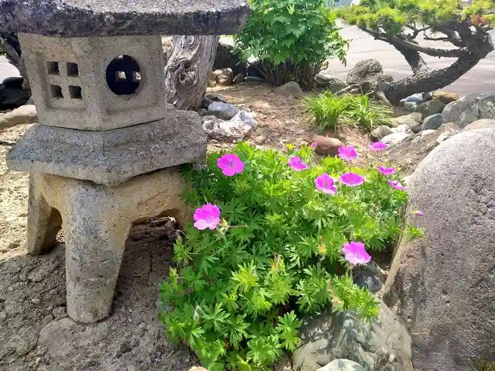 雨竜 専福寺の庭園