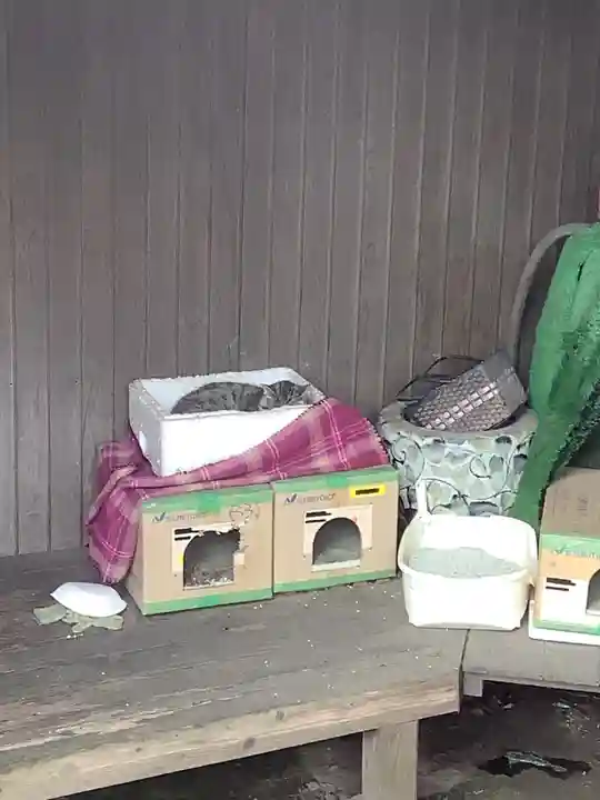 八大龍王本殿(岐阜県)