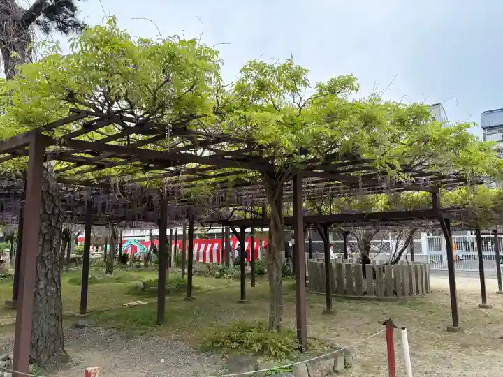 葛井寺の{uncategorized: "未分類", other: "その他", undefined: "問題あり", building: "その他建物", grave: "お墓", sacred_gate: "鳥居", guardian: "狛犬", statue: "像", buddha: "仏像", history: "歴史", nature: "自然", garden: "庭園", animal: "動物", pagoda: "塔", temizu: "手水舎", mountain_gate: "山門・神門", sanctuary: "本殿・本堂", subordinate: "末社・摂社", art: "芸術", scenery: "景色", jizo: "地蔵", ema: "絵馬", goshuin: "御朱印", omikuji: "おみくじ", items: "授与品その他", amulet: "お守り", goshuincho: "御朱印帳", eats: "食事", festival: "お祭り", votive_dance: "神楽", shichigosan: "七五三参", wedding: "結婚式", experience: "体験その他", initially: "初詣", around: "周辺", anti_infection: "感染症対策"}