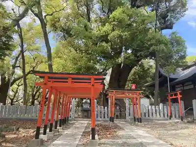 信太森神社（葛葉稲荷神社）(大阪府)