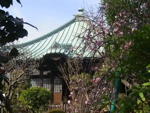 収玄寺の本殿・本堂