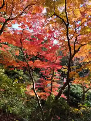 根来寺(和歌山県)