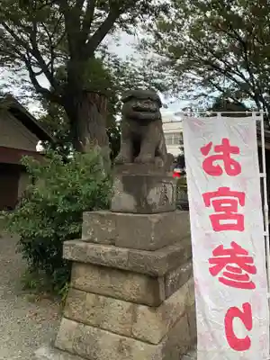 日野八坂神社の狛犬