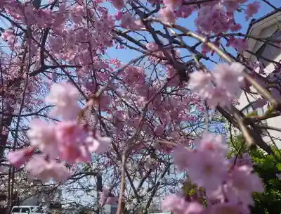 金玉神社(新潟県)
