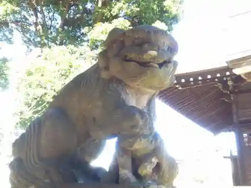 下石原八幡神社の狛犬