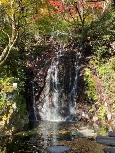 玉簾神社の自然