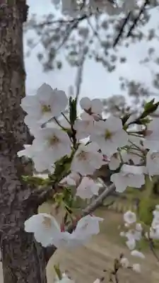 武蔵第六天神社(埼玉県)